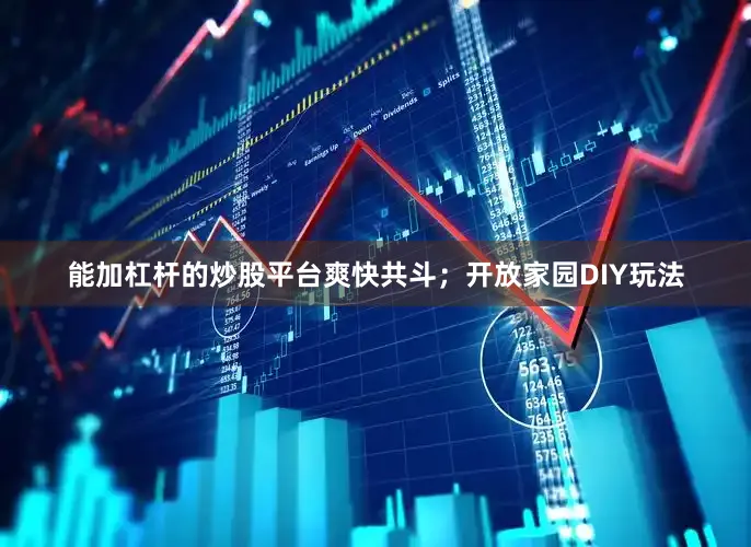 能加杠杆的炒股平台爽快共斗；开放家园DIY玩法