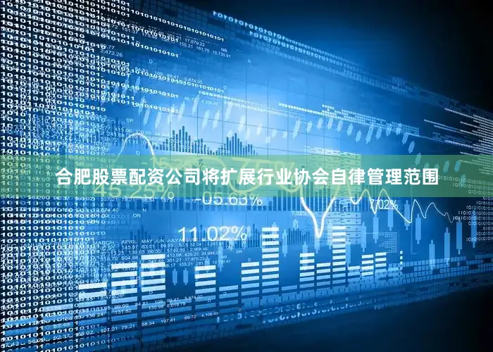 合肥股票配资公司将扩展行业协会自律管理范围
