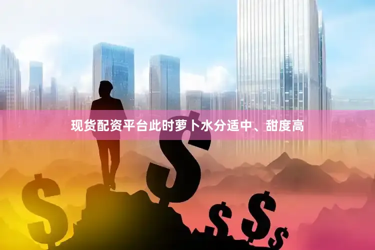 现货配资平台此时萝卜水分适中、甜度高