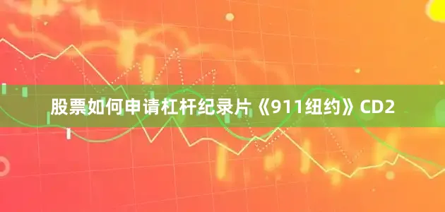 股票如何申请杠杆纪录片《911纽约》CD2